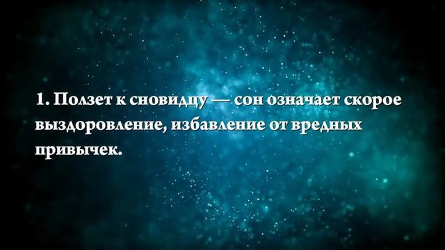 К чему снится большой черный паук - Онлайн Сонник Эксперт смотреть онлайн