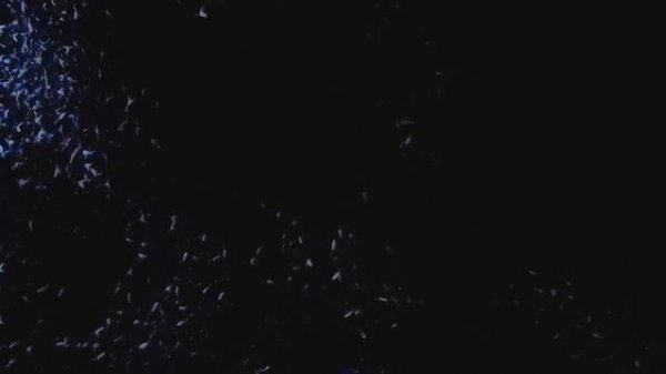 Клип My Chemical Romance - The Foundations of Decay