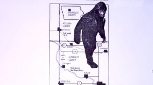 Михаил Герштейн. Уфология и криптозоология: неожиданные взаимосвязи (2022)