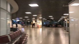 Короткий путь от входа до посадки в ПУЛКОВО о котором не знают #ОМИКС (АЭРОПОРТЫ МИРА)