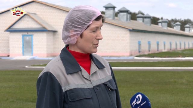 Птицефабрика «Зари». Более пяти миллионов штук куриных яиц в месяц! смотреть онлайн