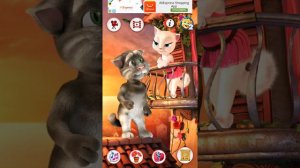 Кот Том и Анжела История Любви Tom and Angela Love Story