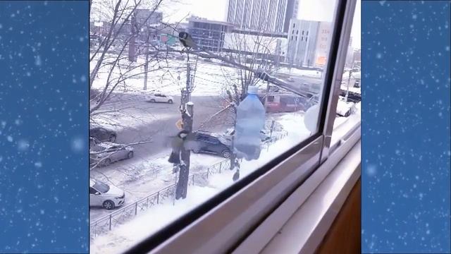 Простейшая кормушка для синиц смотреть онлайн