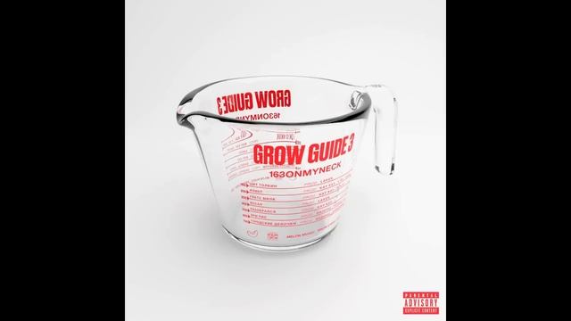 163ONMYNECK – GROW GUIDE 3 (Альбом, 2023) смотреть онлайн