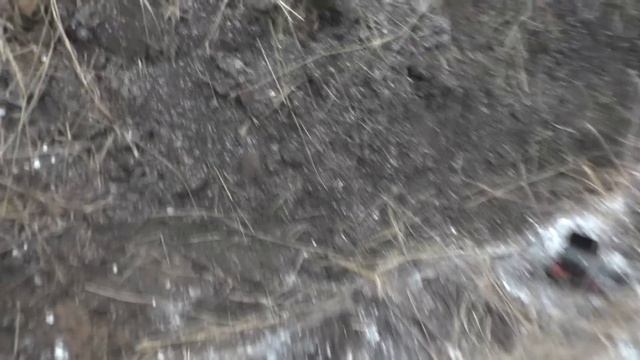 #ШУРФ / ДОКАПЫВАЕМ КЛАД КРУПНОЙ ЧЕШУИ / ЗАВЕРШЕНИЕ СЕЗОНА