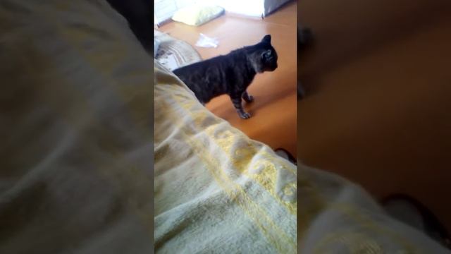 Не знаю как назвать эту серию смотреть онлайн