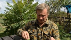 Богомолы наши друзья. Нескучная жизнь.