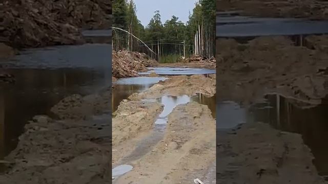 Поехали выбирать участок смотреть онлайн