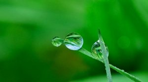 Ангелина Могилевская. Медитация здоровья. Часть 2