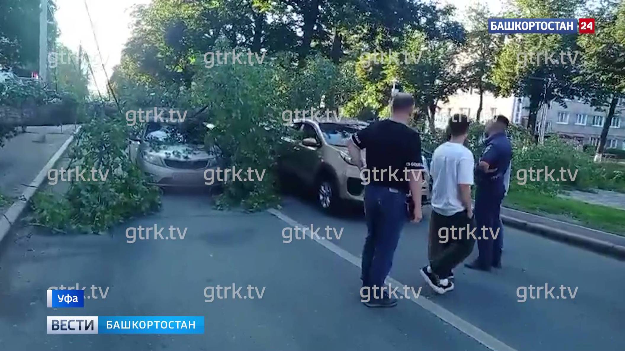 Упавшее дерево оборвало провода и повредило автомобили на бульваре Славы в Уфе смотреть онлайн