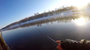 Ловля на Джиг Риг | Крупный окунь | ТОП приманка | Рыбалка 2022