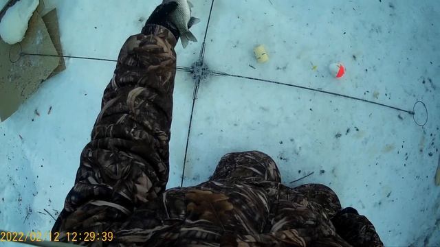 Февральская рыбалка на Амуре на хапуги и подпуски смотреть онлайн