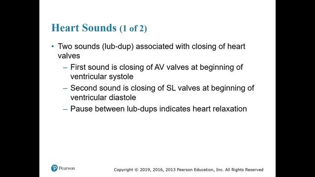 Anatomy and Physiology Chapter 18 Part B смотреть онлайн