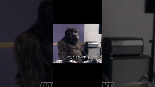 monkey on the drums🦍 #fortnite смотреть онлайн