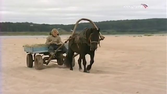 Дом на угоре - д. Веркола Архангельской области - Письма из провинции смотреть онлайн