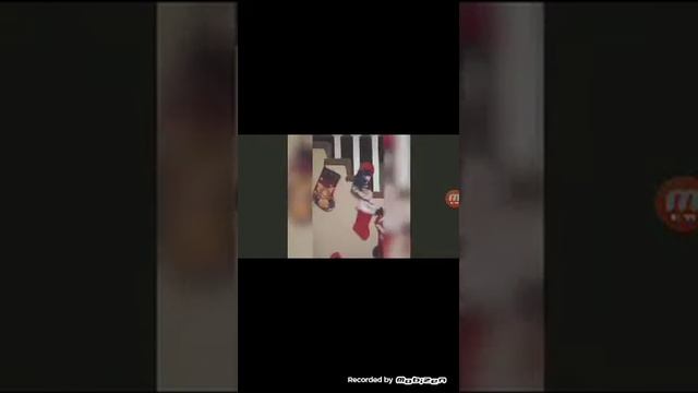 Очень смешно советую посмотреть коты с озвучкой смотреть онлайн