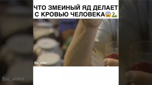 ЧТО ЗМЕИНЫЙ ЯД ДЕЛАЕТ  С КРОВЬЮ ЧЕЛОВЕКА. UzVideo