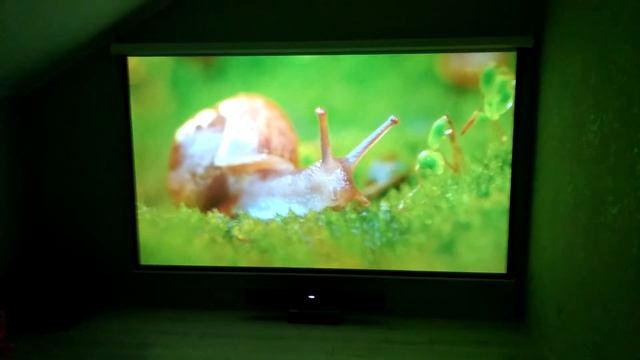 Проектор Acer P1500 FullHD, 3000 ansi lumen, 10000:1! смотреть онлайн