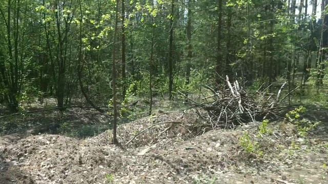 Выезд за грибами Харьковская область 15 мая 2021. смотреть онлайн