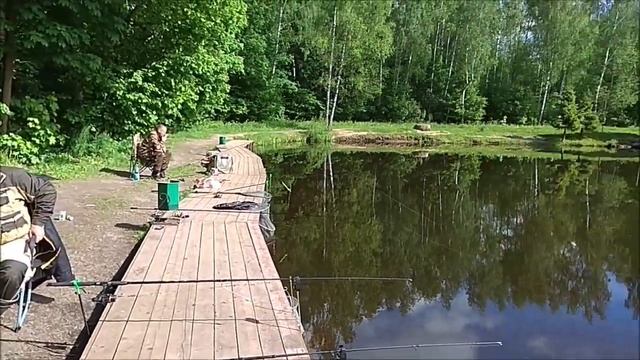 Обзор с нижнего водоёма. Клёвое место, Лосиный остров. смотреть онлайн