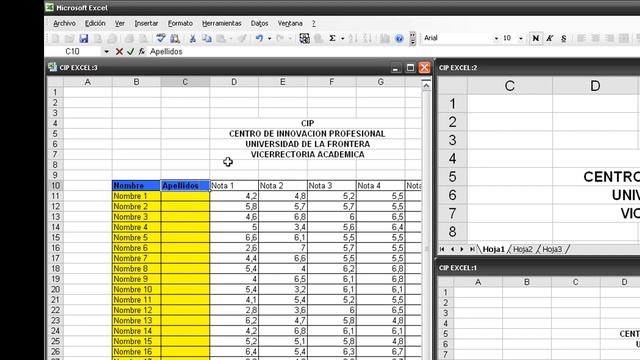 4. Manejo de filas y columnas [Excel 2003] смотреть онлайн