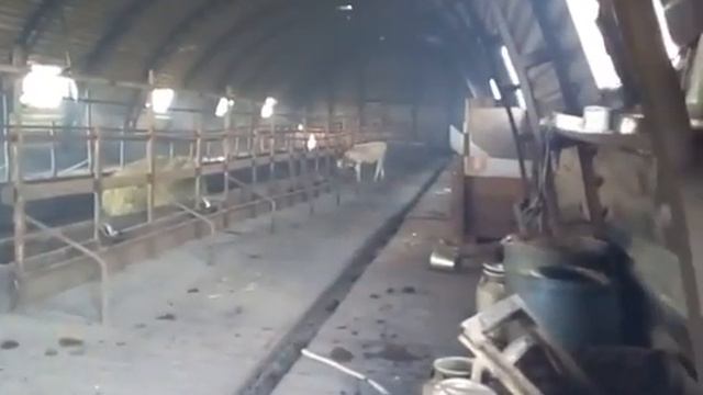 Пожар в Якутии! В Якутии сгорело село Бэс-Куель. Первые кадры смотреть онлайн