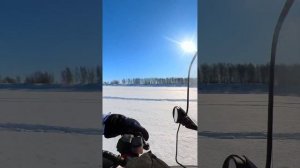 С санями) BRP Lynx Adventure 1200