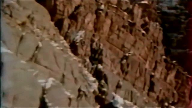 Архив ПВ Вывод ПВ КГБ СССР1989 год