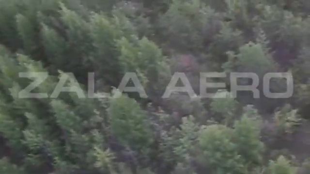 Zala 421-21 Лесные ресурсы смотреть онлайн