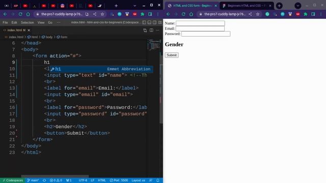 Beginner's Forms With HTML And CSS | Day 1 - Learning the basics смотреть онлайн