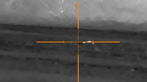 GUIDE TR450. Неизвестный зверь) охота тепловизор.