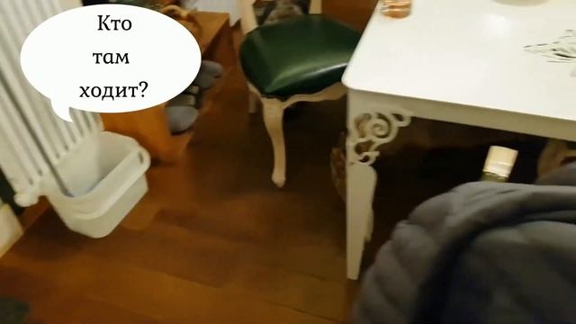 Ли Сяо / Alice the Fox Лиса Алиса (Новые пассажиры!!) смотреть онлайн