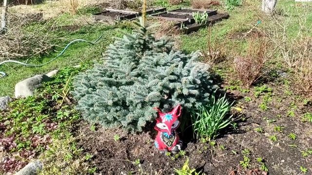 15.05.22.Дача..в гости к Светлане.. смотреть онлайн