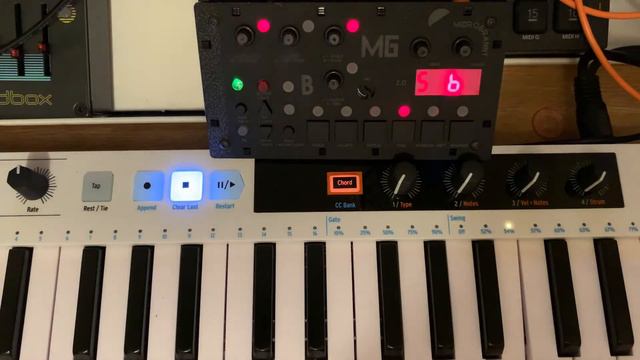 BASTL MICROGRANNY 2 - GRANULAR LOFI SAMPLER USED VIA MIDI KEYBOARD