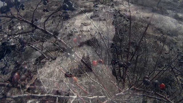 ,,Куда ушла зима" смотреть онлайн