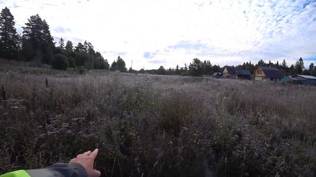 На даче чуть не околел!/Собираем урожай/Набрал брусники. смотреть онлайн