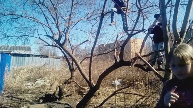 Укромное местечко детей " Шалаш" . Играем с детьми в светофор. смотреть онлайн