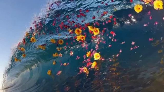 Dan Gibsons Solitudes - Waves of Peace смотреть онлайн