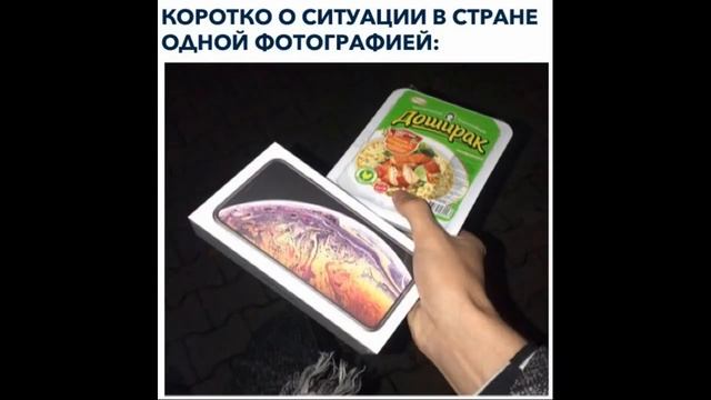 Лютые приколы. Кот делает домашку за школьника смотреть онлайн