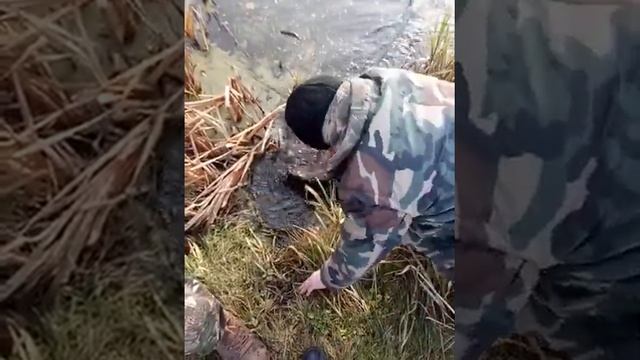 Дахновка смотреть онлайн
