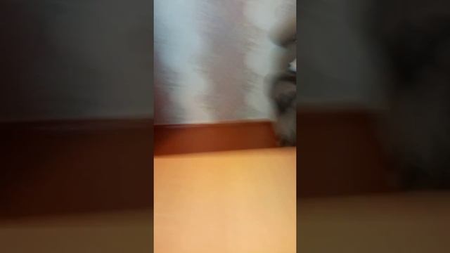 ~коллекция картин~алмазная мозаика ~ смотреть онлайн