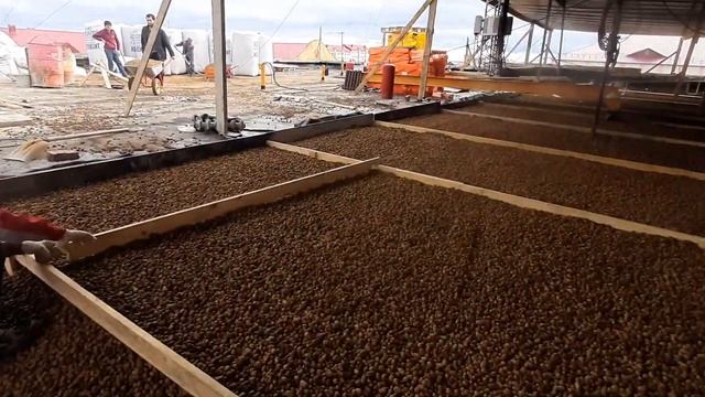 ремонт кровли смотреть онлайн