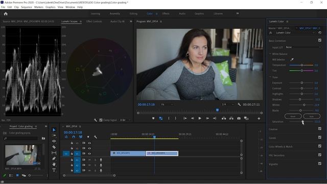 HOW To COLOR GRADE LOG Or FLAT Profile In Adobe Premiere Pro All The Way. From Scratch, Without LUT