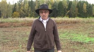 Как правильно приготовить посадочную яму для голубики