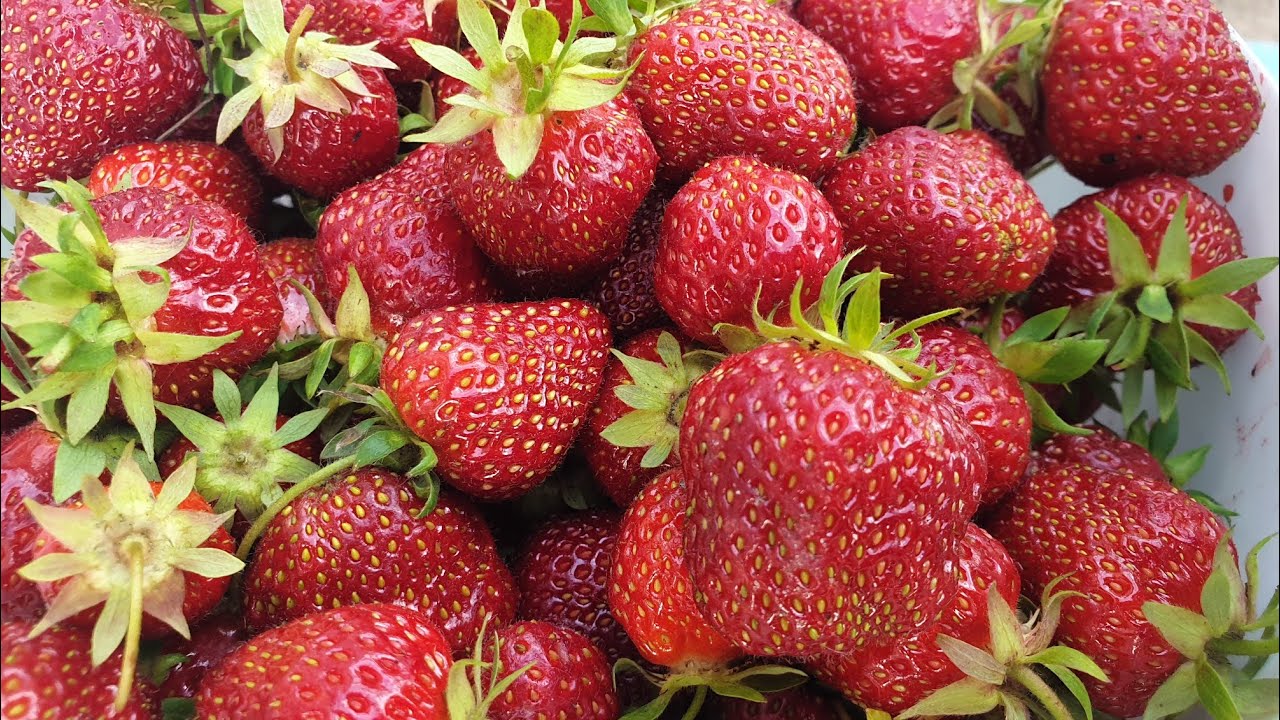 КЛУБНИЧНОЕ ВАРЕНЬЕ ❤ МОЙ ЛЮБИМЫЙ РЕЦЕПТ ❤ смотреть онлайн