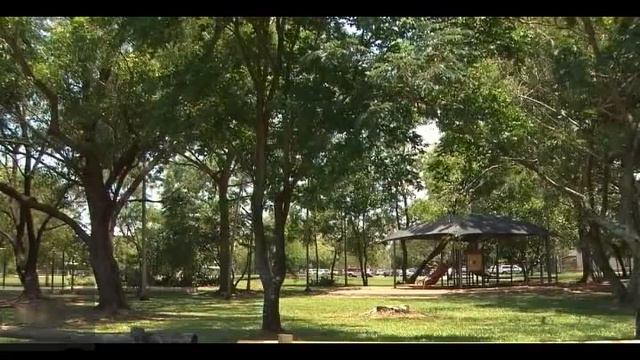 Плащ плащеносной ящерицы смотреть онлайн