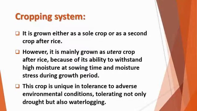 How to produce Lathyrus or Khesari (Lathyrus sativus) смотреть онлайн