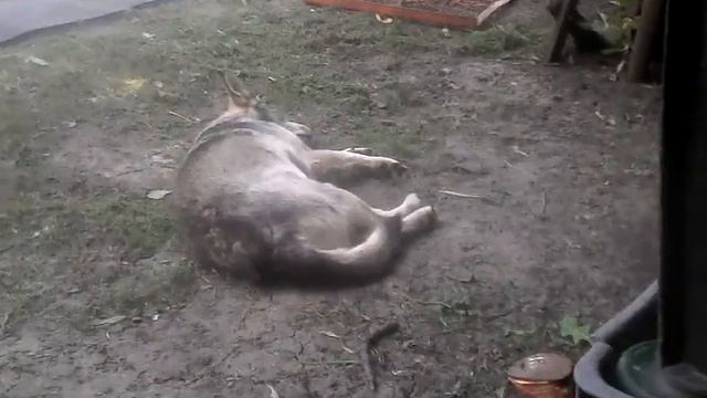 Признание : о том что нечего делать смотреть онлайн