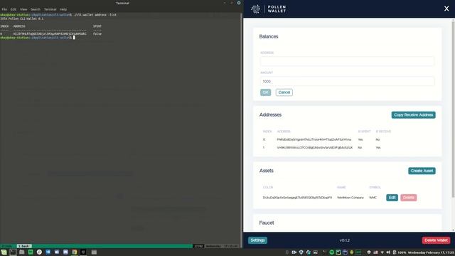 IOTA Digital Assets Framework Demonstration - Creating tokens and tokenized assets смотреть онлайн
