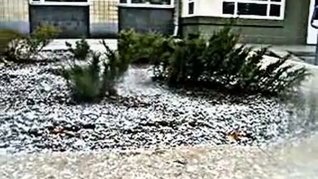 КАМЕНСКОЕ ЗИМА ХВОЙНИКИ СОЦГОРОД смотреть онлайн